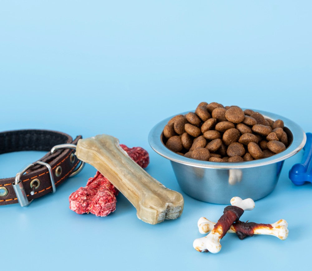 Dog Food and Treats