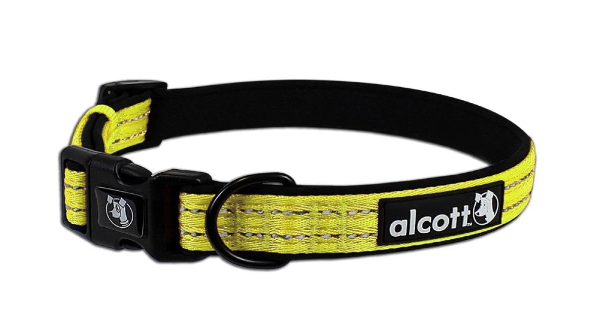 Collars & Leashes