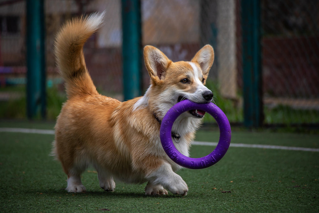 Barkmewo