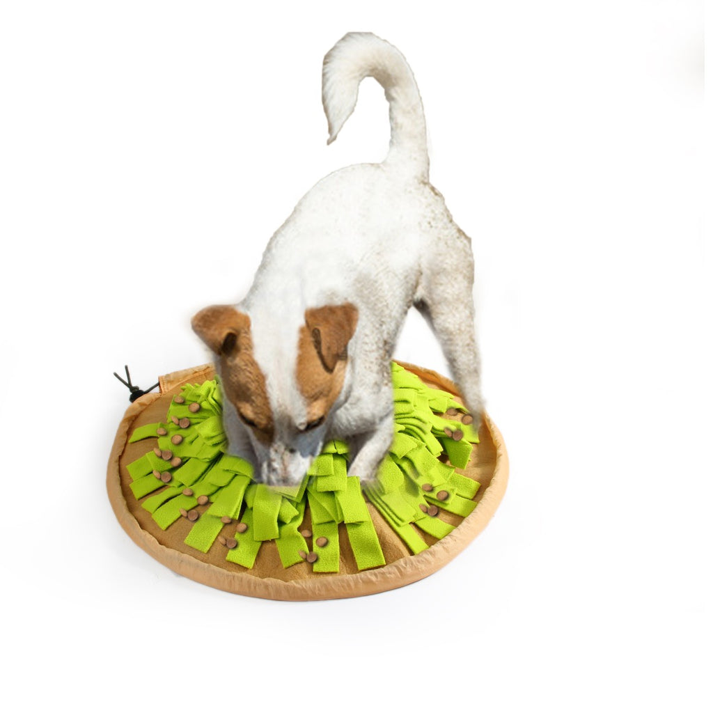 Barkmewo
