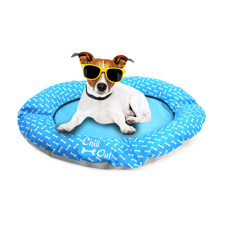 Barkmewo