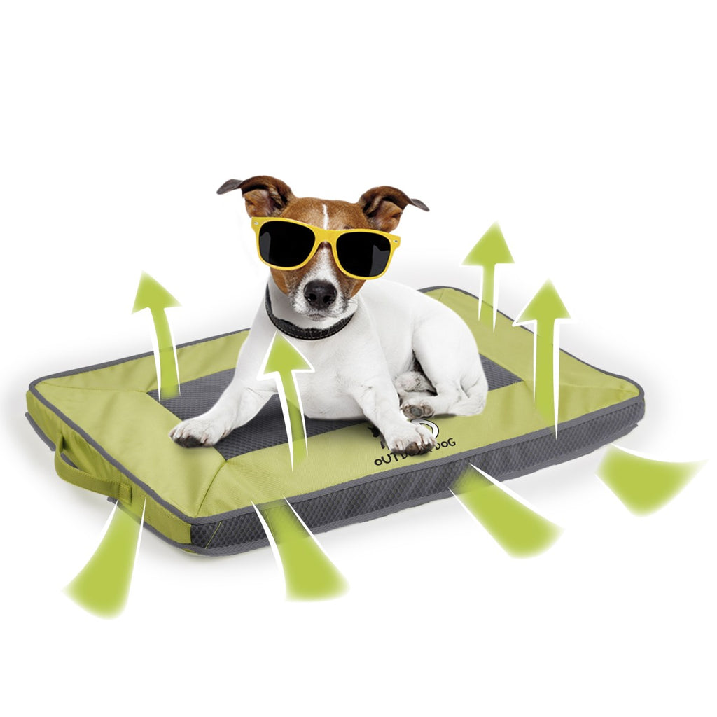 Barkmewo