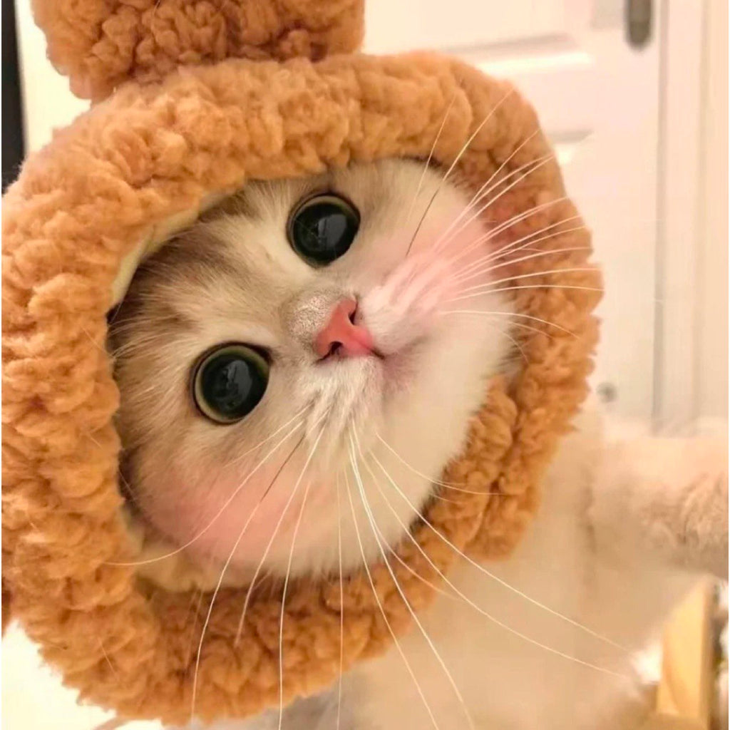 Barkmewo